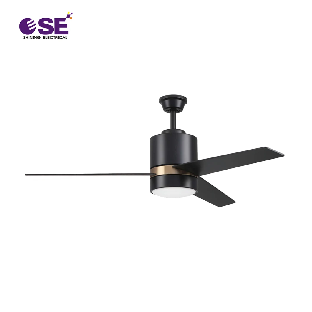 Modern Latest Designer ABS Blades Remote Controlled Electric BLDC Silent DC Motor 52inch Decorative Ceiling Fan